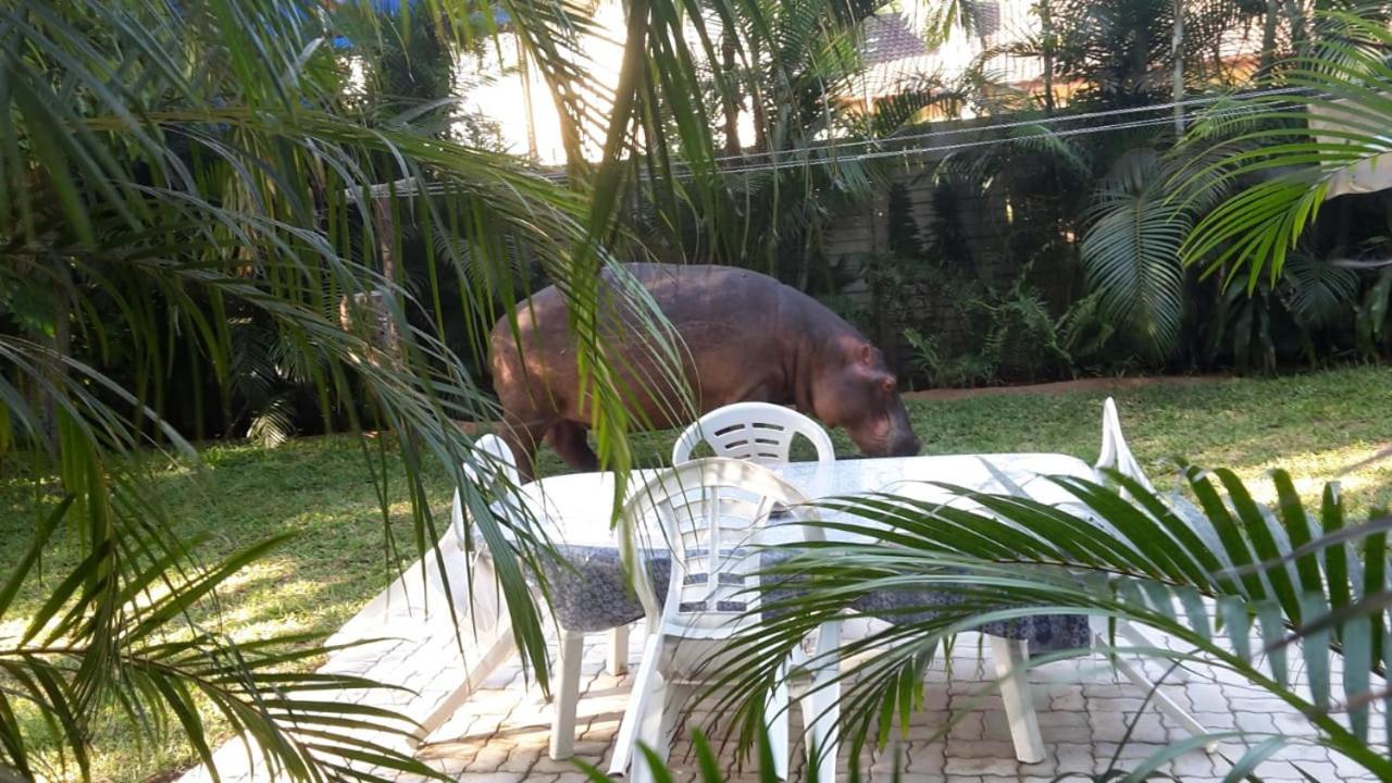 Lake St Lucia Lodge Dış mekan fotoğraf